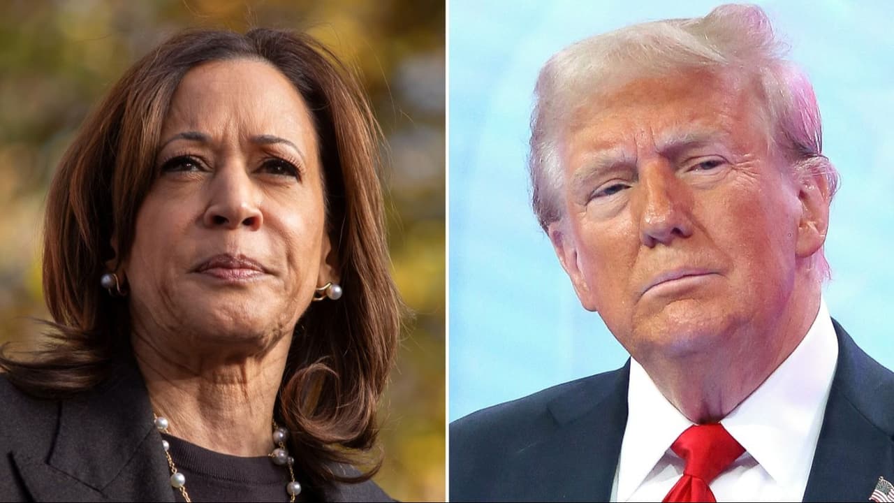 Beyaz Saray yolunda Trump - Harris çekişmesi: 5 Kasım ABD başkanlık seçimi öncesi anketler ne diyor?