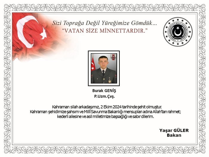 1. resim