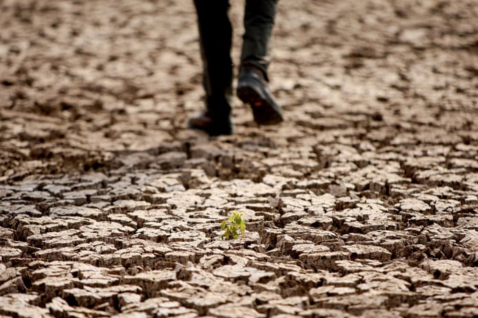 Arraiolos Grubu üyesi 6 ülkenin liderlerinden ortak iklim krizi bildirisi: Artık kaybedecek zaman yok