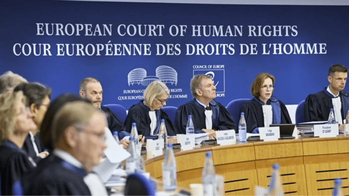 Avrupa İnsan Hakları Mahkemesinin yeni başkanı Slovak Marko Bosnjak oldu