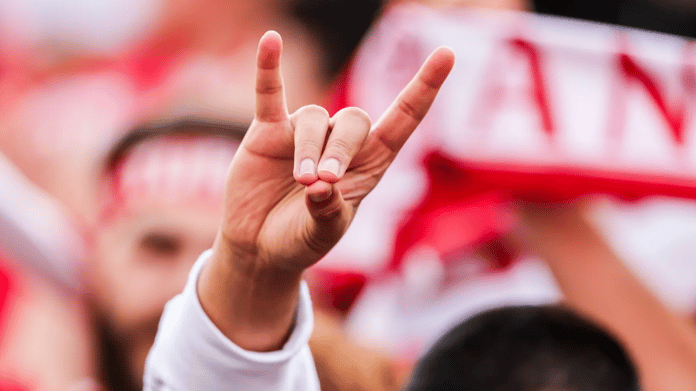 Almanya'da okullarda 'sessiz tilki' tartışması: Bozkurt selamına benziyor