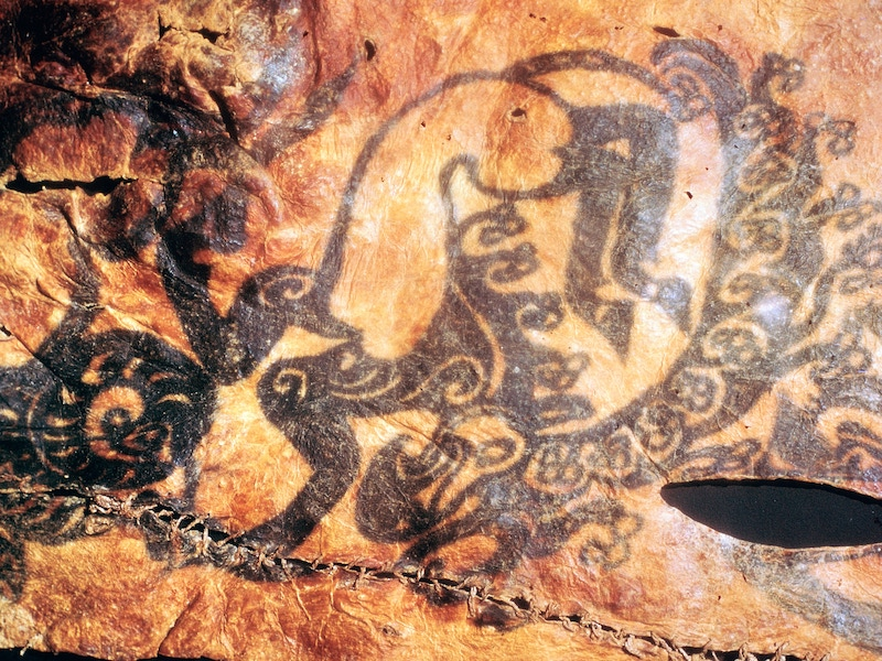 Rusya’nın Altay bölgesinde bulunan ve milattan önce 5. yüzyıla tarihlenen İskit çocuğunun koluna canavar dövmesi yapılmış. Arkeologlar, bu kültüre ait dövmelerin yaş ve sosyal statüyü yansıttığına inanıyor.