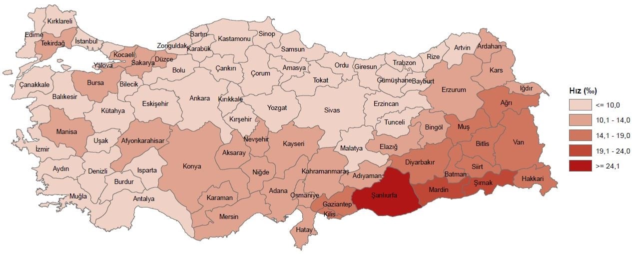İllere göre kaba doğum hızı, 2023