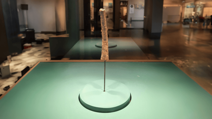 Ishango Kemiği: 20,000 yıllık bir matematik gizemi