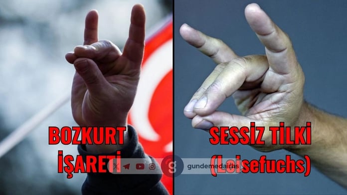 Almanya “Sessiz Tilki” işareti nedir, neden yasaklandı? Sessiz Tilki (Leisefuchs) işareti nedir? Almanların “Bozkurt” işaretiyle benzerlik gösteren işareti nedir?