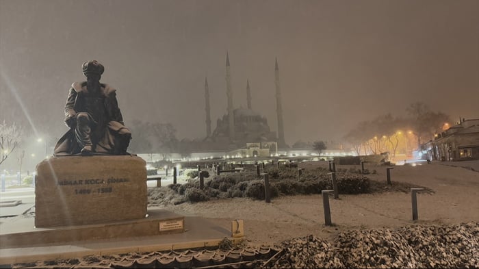 3. resim