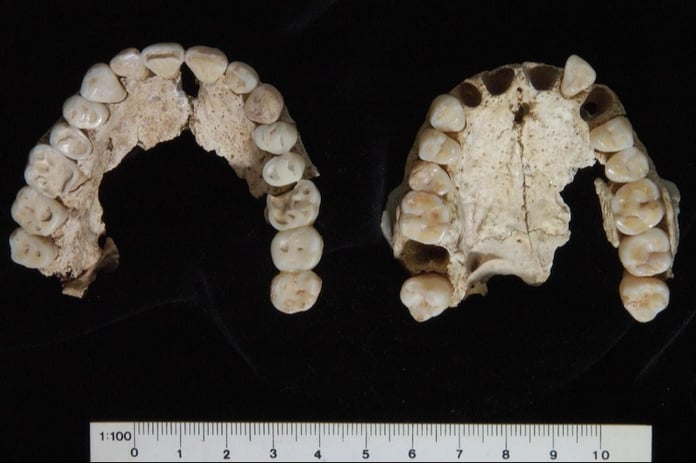 Büyük İskender’in tümülüsteki aile bireylerinin kimlikleri belli oldu
