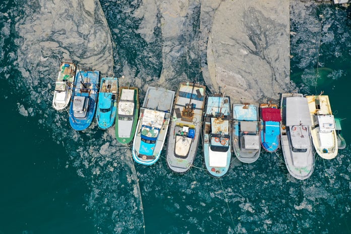 Müsilaj balıkçılığı bitirme noktasına getirdi