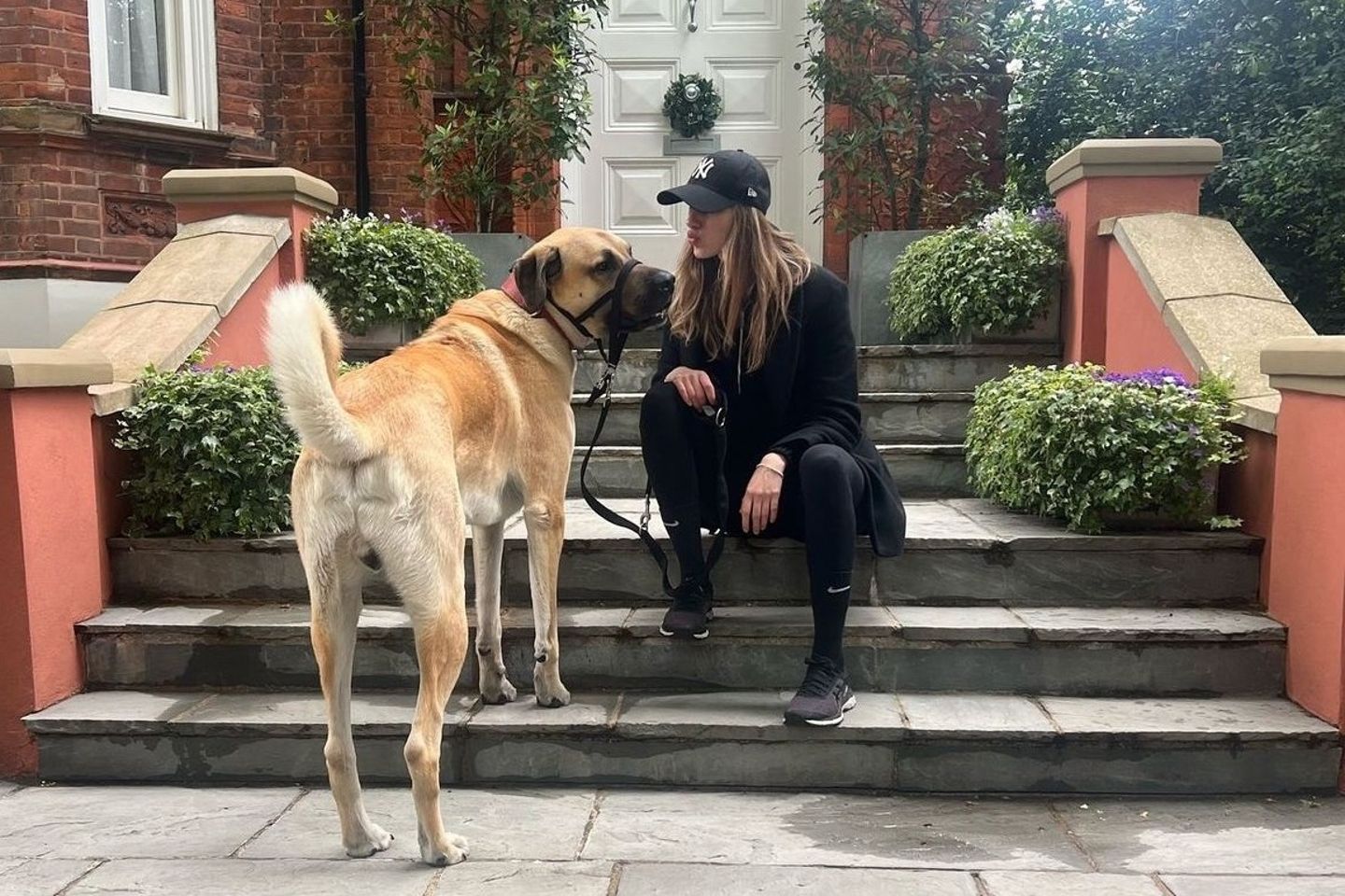 Londra'da yaşayan İngiliz İsidora'nın 'Kangal' tutkusu