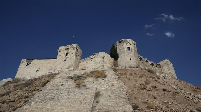 1. resim