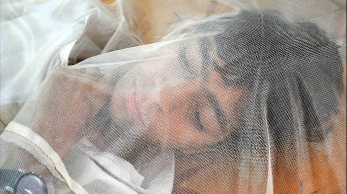 Batı Nil Virüsü Türkiye'de var mı?