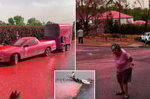 Los Angeles’taki yangınları söndürmek için kullanılan pembe toz nedir?