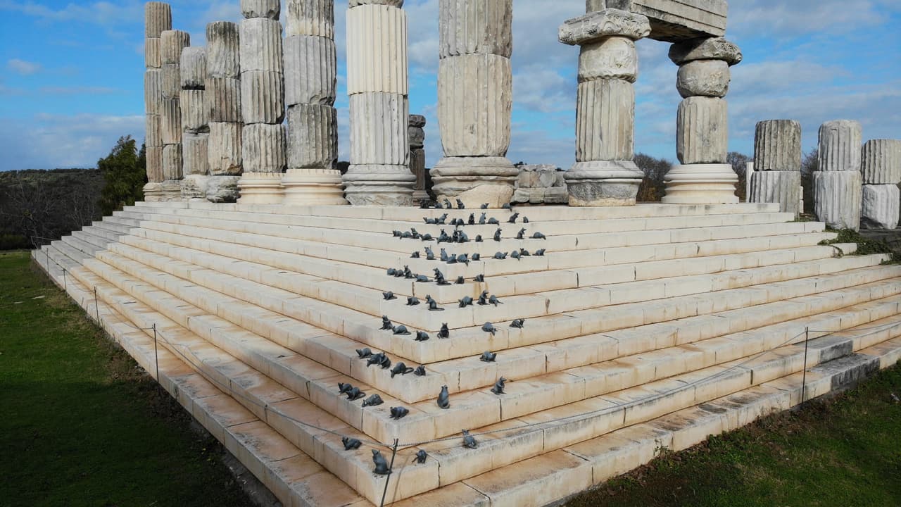 Apollon Smintheus Tapınağı'nda ziyaretçilere fareler eşlik ediyor