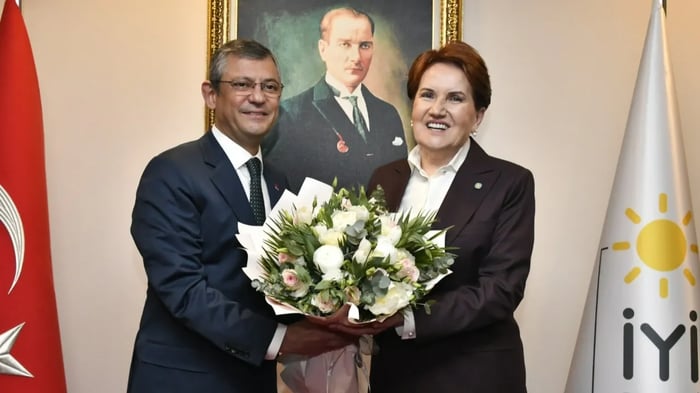 1. resim