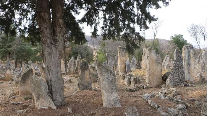 1. resim