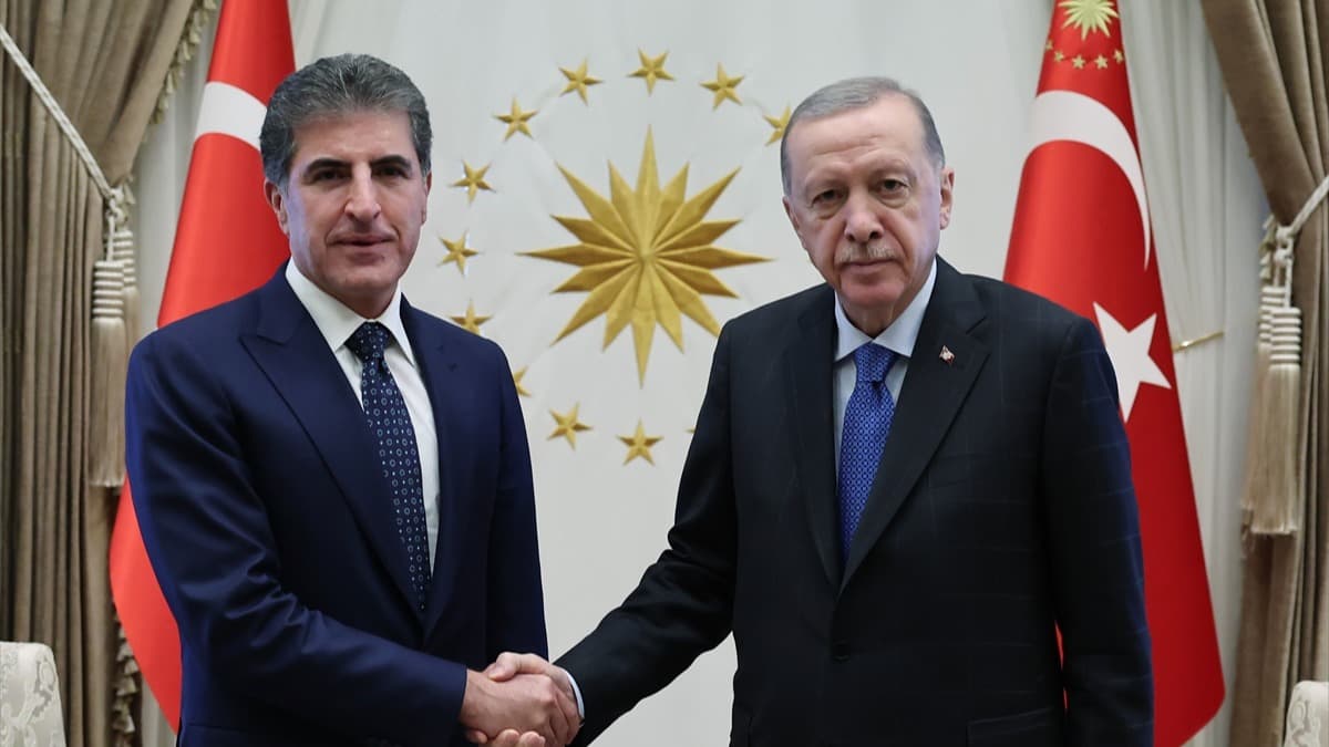Cumhurbaşkanı Erdoğan, Neçirvan Barzani’yle görüştü | Neçirvan Barzani kimdir?