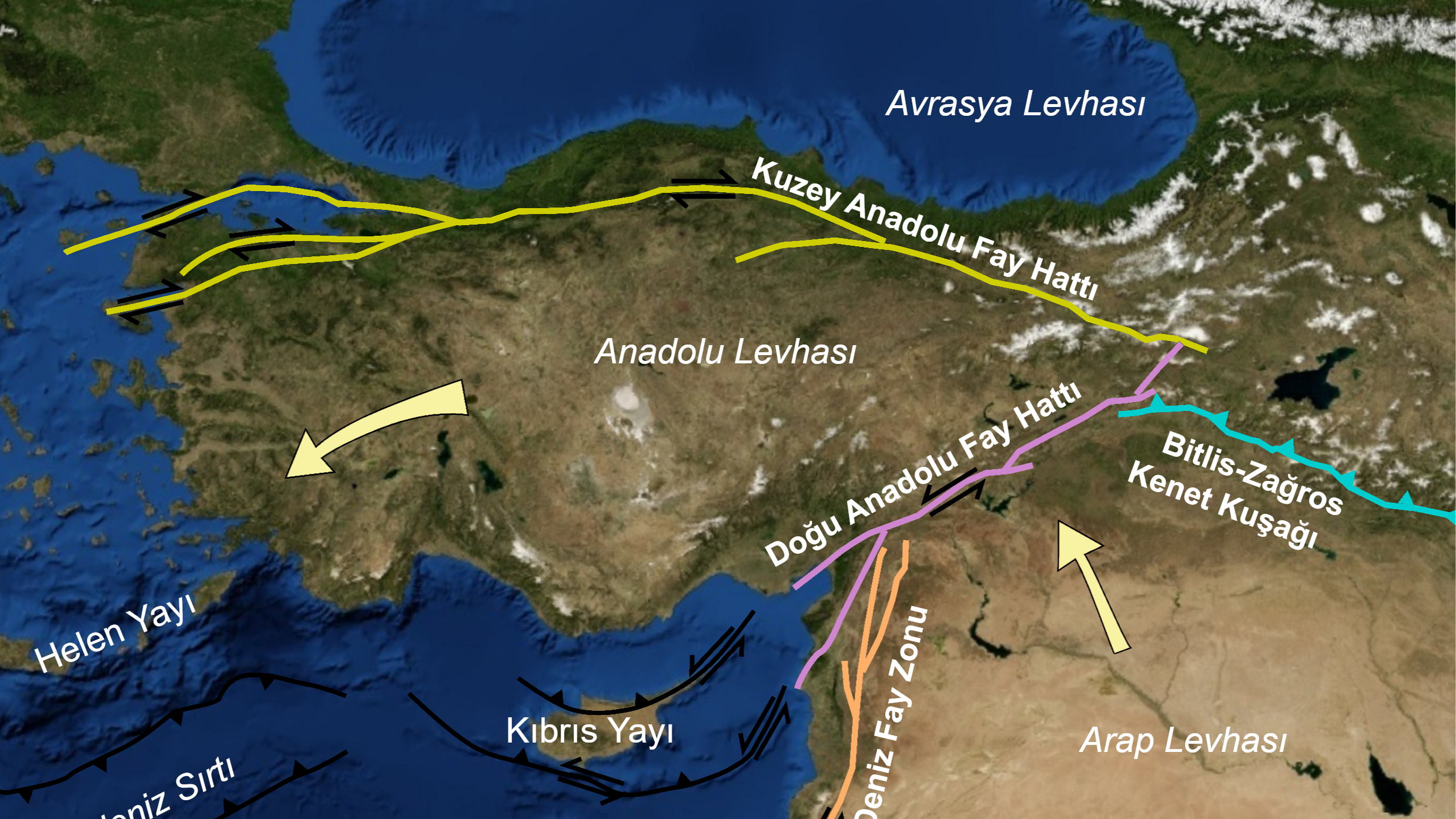 Trabzon'da fay hattı var mı?
