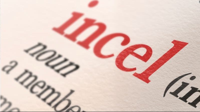 CHP ‘İnceller’ araştırılsın önerisi verdi: İncel ne demek, İnceller kimdir?