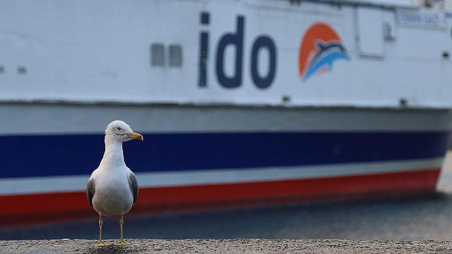 İDO ve BUDO iptal seferler (21 Kasım) Şehir Hatları hangi seferler iptal edildi?