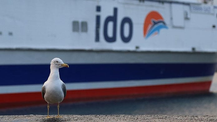 İDO ve BUDO iptal seferler (21 Kasım) Şehir Hatları hangi seferler iptal edildi?