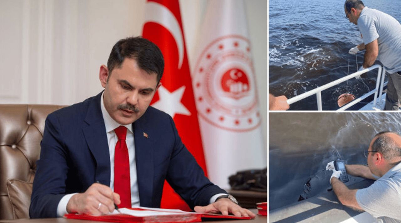 İzmir'deki toplu balık ölümleriyle ilgili Bakan Kurum'dan talimat
