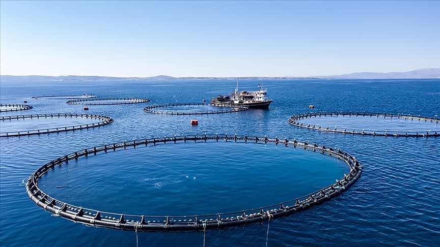 Karadeniz'in su ürünleri ihracatı Ocak'ta 19 milyon doları geçti