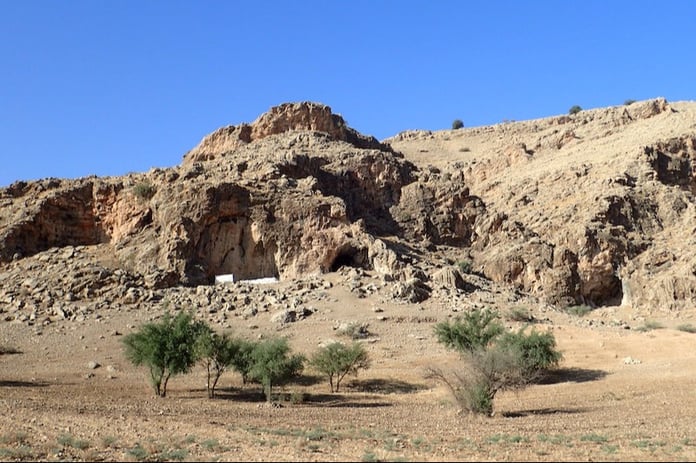 Orta Paleolitik Çağ’daki insanlar etobur hayvanları da avlıyordu