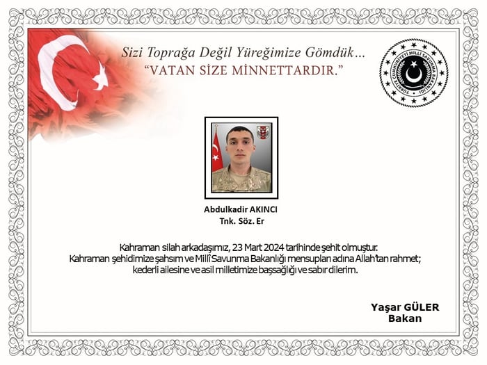 1. resim