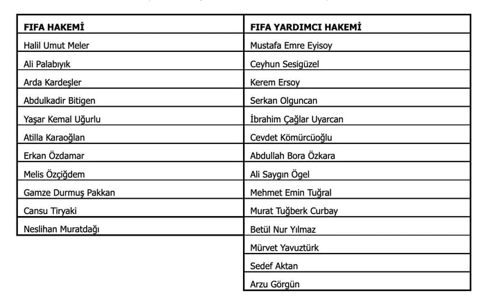 1. resim