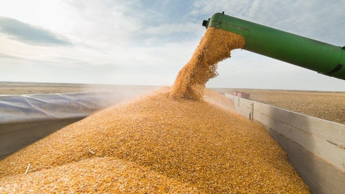 Moldova Ukrayna’dan tahıl ithalatını kısıtlayacak