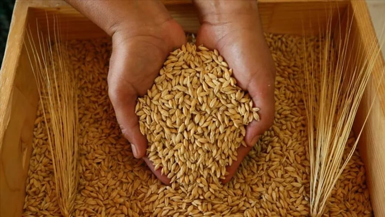 Küresel gıda fiyatları kasım ayında değişmedi