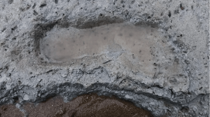 Britanya’da 7000 yıllık ayak izleri ve antik tuzaklar keşfedildi