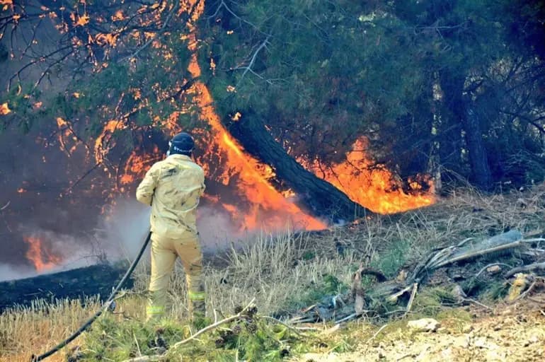 3 Çoban, Orman Yangınıyla Görevliye Karşı