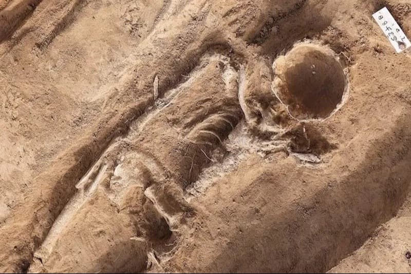 1.000 Yıllık Alman İskeleti: Yarım Kafatası