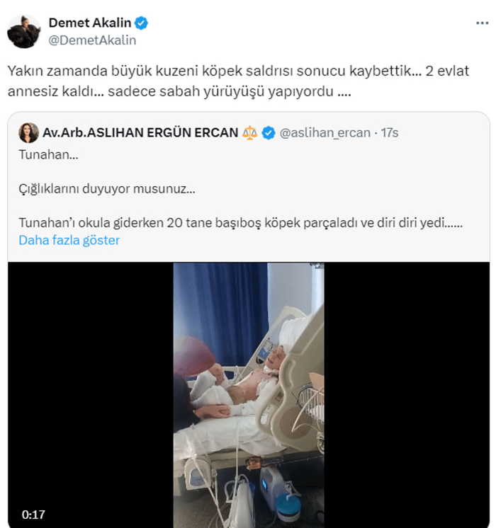 1. resim