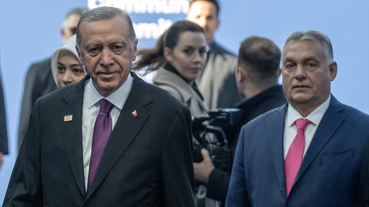 Erdoğan: Türkiye'nin AB katılım sürecinin engellenmesi makul değil