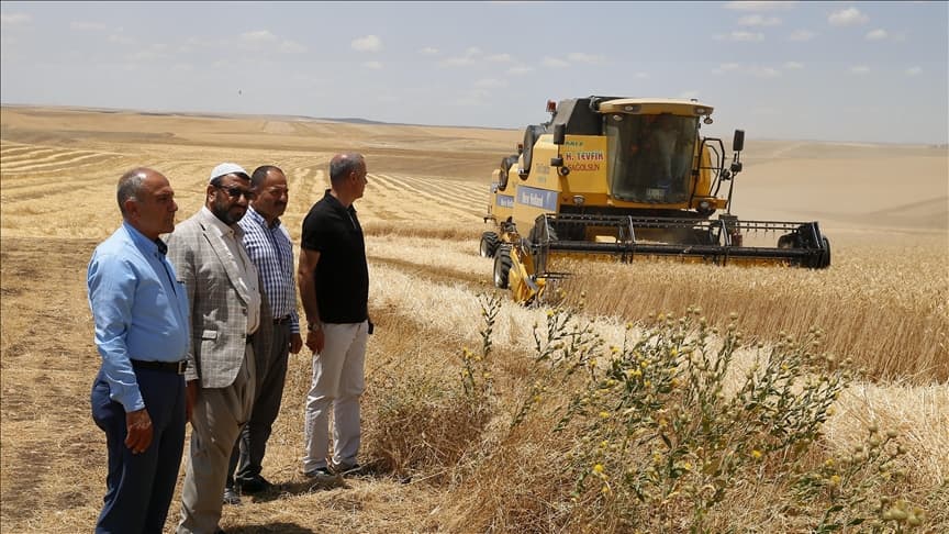 Tarlada Hasat Başladı: Diyarbakır'da 9 Ölüm