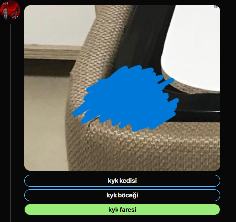 Twitter Dili ve Edebiyatı testi&nbsp;