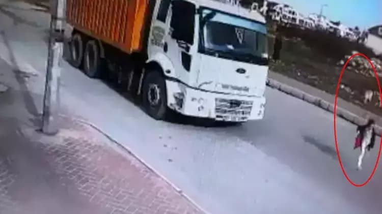 Köpekten kaçan Mahra'ya 3,9 milyon lira tazminat kararı