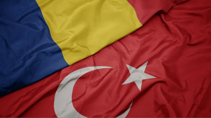 1. resim
