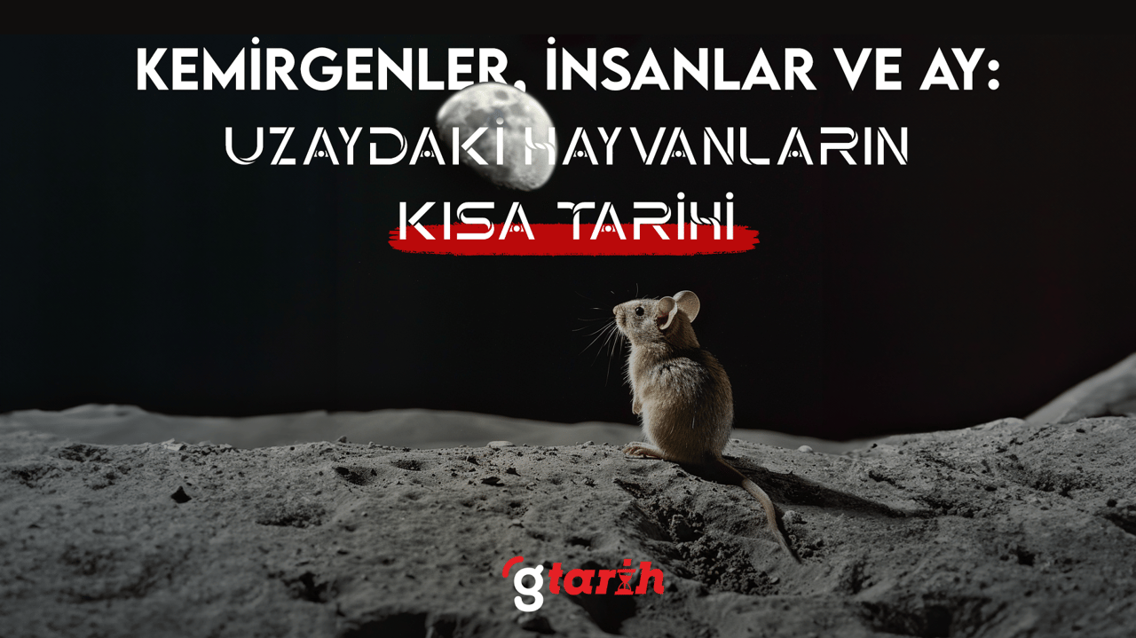 Kemirgenler, İnsanlar ve Ay: Uzaydaki Hayvanların Tarihi
