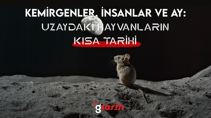 Kemirgenler, insanlar ve Ay: Uzaydaki hayvanların kısa tarihi
