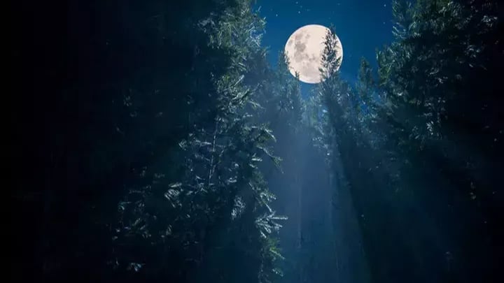 Günler ne zaman uzamaya başlıyor, ne zaman uzayacak?