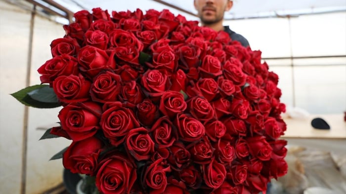 1. resim