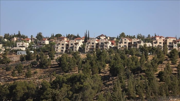 1. resim
