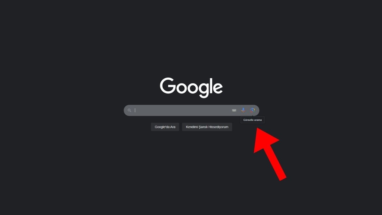 Google görsel arama.
