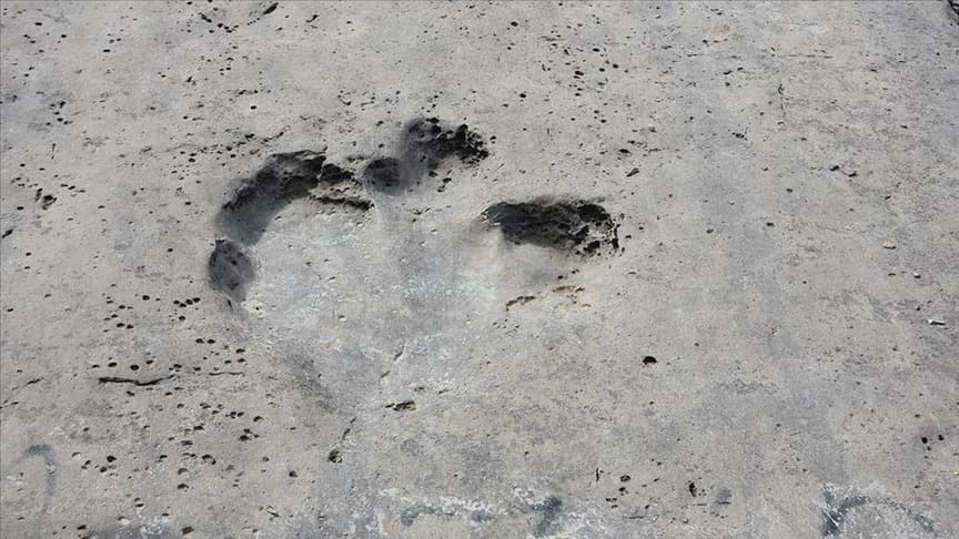 Türkmenistan milyonlarca yıllık dinozor ayak izlerine ev sahipliği yapıyor
