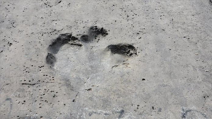 Türkmenistan milyonlarca yıllık dinozor ayak izlerine ev sahipliği yapıyor