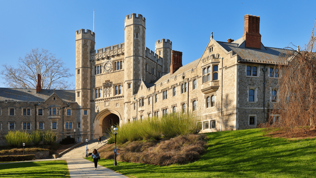 Princeton Üniversitesi'nde İsrail sansürü: Filistinliler'e destek veren Puar'ın kitabı yasaklanmak isteniyor