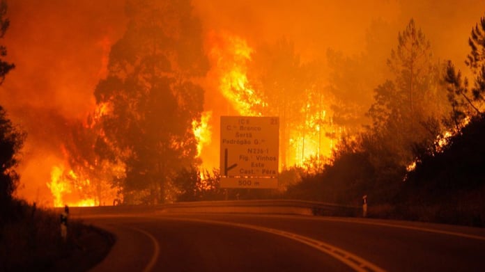 Portekiz'de orman yangınları turistik bölgelere ulaştı